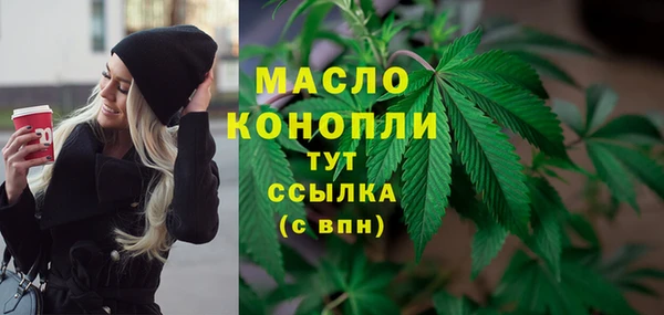 дурь Дмитриев