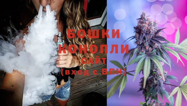 прущие грибы Дмитров
