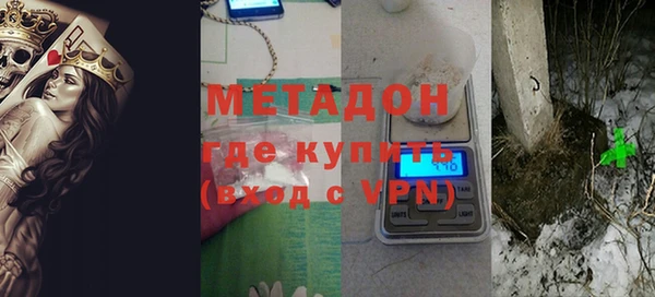 прущие грибы Дмитров