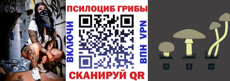 Купить  Новый Уренгой  Псилоцибиновые грибы прущие грибы 
